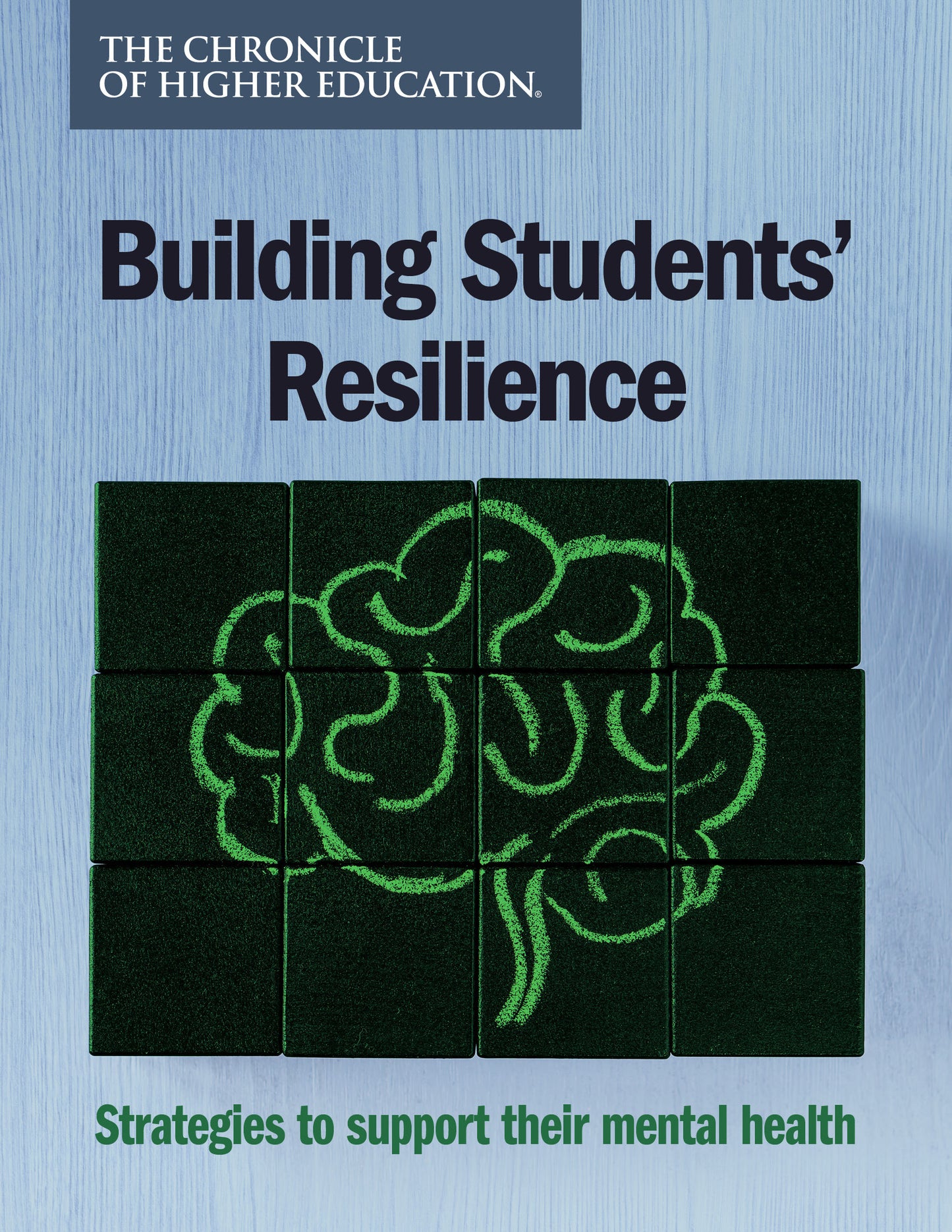 Building Students' Resilience. Strategies to support their mental health. Cover image of a drawing of a brain.