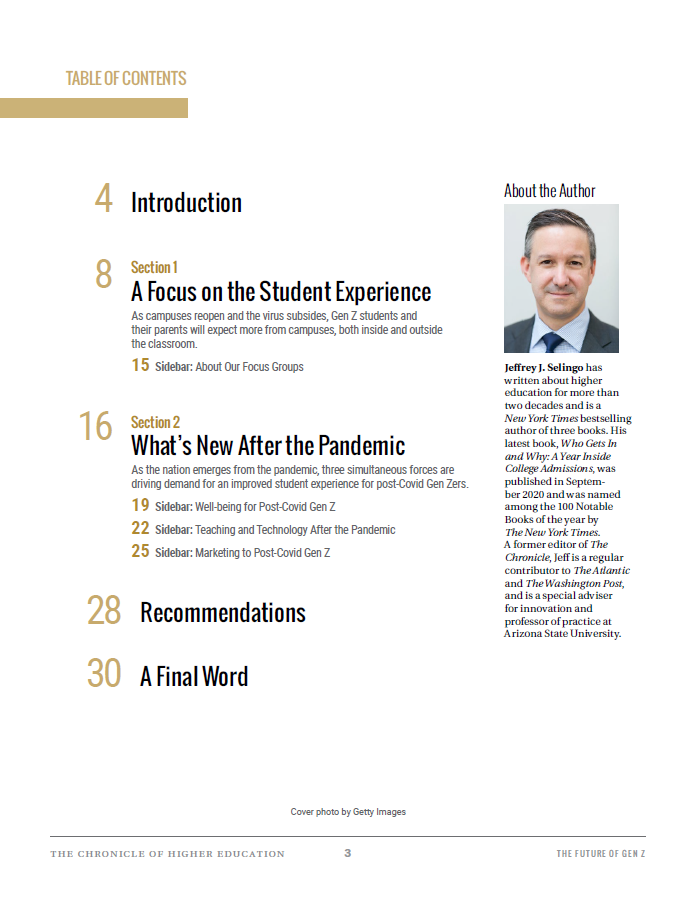 Table of Contents with an introduction, two section headers, a recommendations section header, conclusion and author background.