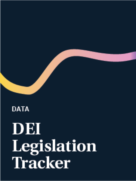 Data: DEI Legislation Tracker - dark navy cover with a yellow/pink squiggle line