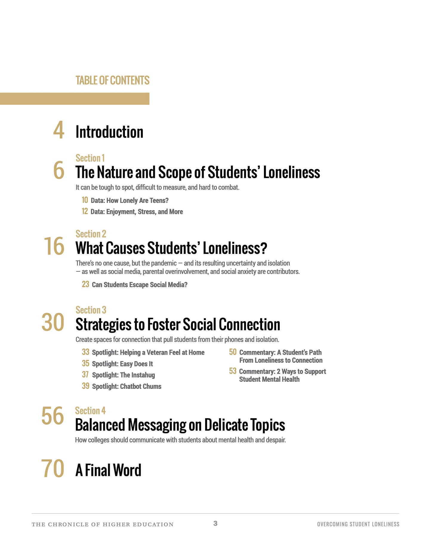 Overcoming Student Loneliness