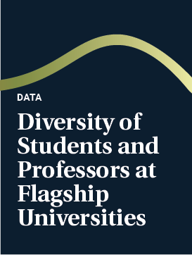 Diversity of Students and Professors at Flagship Universities